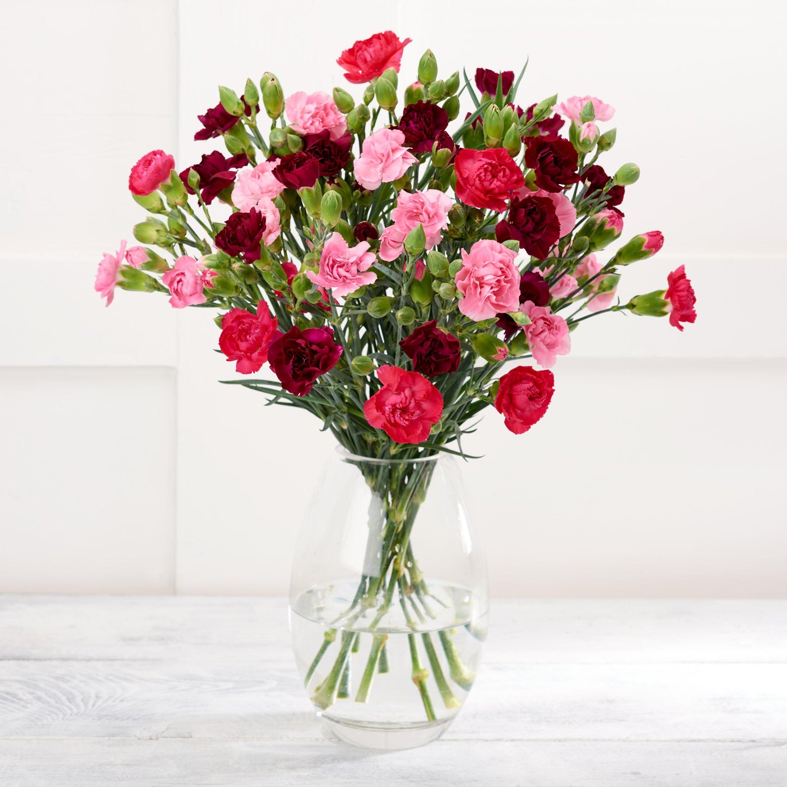 Mixed Flower Carnations