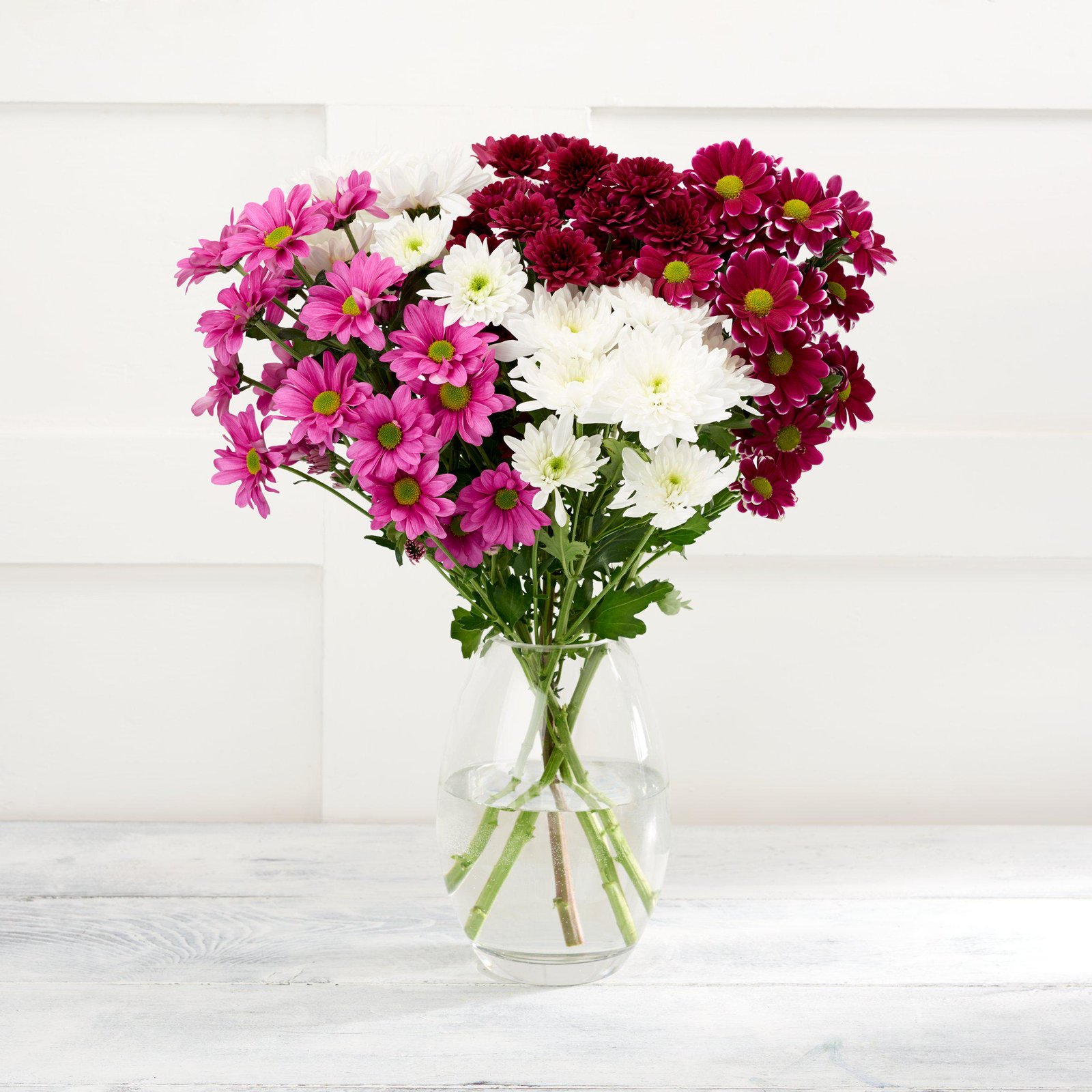 Chrysanthemums
